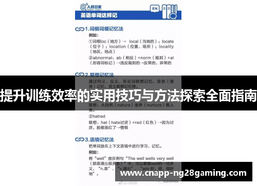 提升训练效率的实用技巧与方法探索全面指南