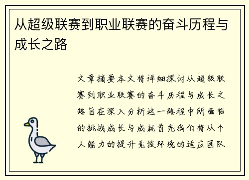 从超级联赛到职业联赛的奋斗历程与成长之路