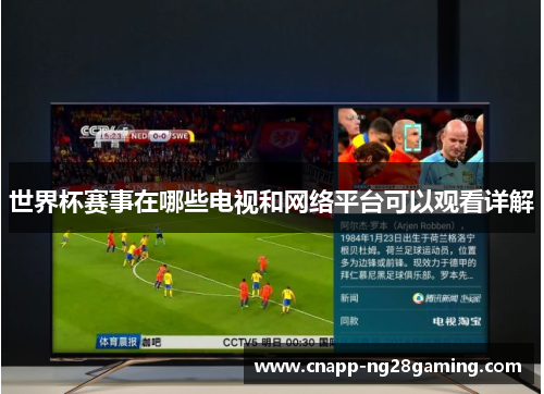 世界杯赛事在哪些电视和网络平台可以观看详解
