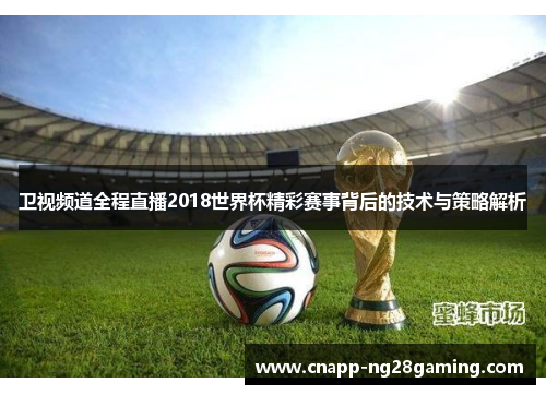 卫视频道全程直播2018世界杯精彩赛事背后的技术与策略解析