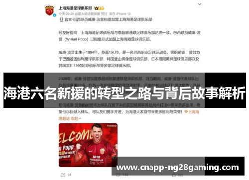 海港六名新援的转型之路与背后故事解析
