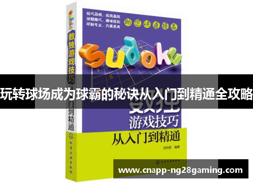 玩转球场成为球霸的秘诀从入门到精通全攻略