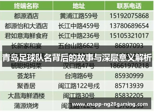 青岛足球队名背后的故事与深层意义解析 青岛足球队名背后的故事与深层意义解析