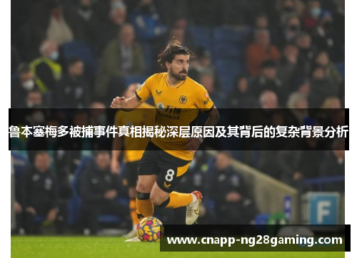 鲁本塞梅多被捕事件真相揭秘深层原因及其背后的复杂背景分析