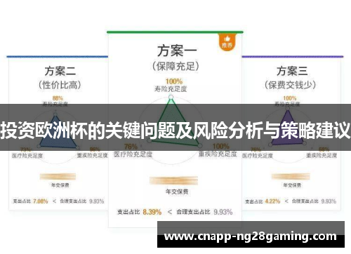 投资欧洲杯的关键问题及风险分析与策略建议