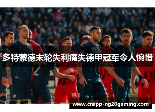 多特蒙德末轮失利痛失德甲冠军令人惋惜