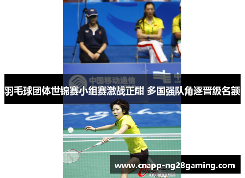 羽毛球团体世锦赛小组赛激战正酣 多国强队角逐晋级名额 羽毛球团体世锦赛小组赛激战正酣 多国强队角逐晋级名额