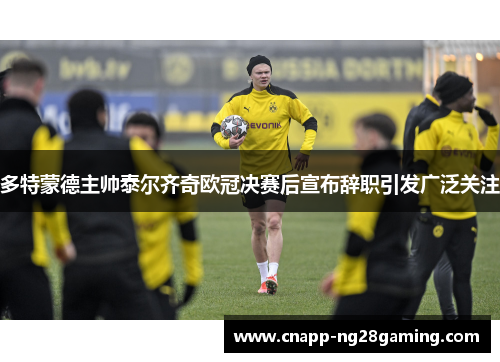 多特蒙德主帅泰尔齐奇欧冠决赛后宣布辞职引发广泛关注
